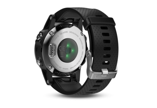 Спортивные часы Garmin fēnix 5S - Silver with black band